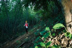 BIB: 
                            <button type="button" onclick="openModal(28124633)" class="btn btn-primary btn-sm float-right btn-popup" data-toggle="modal" data-target=".modal-high-quality">
                        <i class="fas fa-shopping-cart"></i> Add to Cart
                    </button>
                                            <button type="button" onclick="isThisMe(28124633, true)" class="btn btn-success btn-sm float-right btn-popup btn-isme hidden" data-toggle="tooltip" data-placement="bottom" title="นี่คือรูปของคุณใช่ไหม คลิกที่นี่เพื่อเอาเข้าอัลบั้ม">
                        <i class="fas fa-plus"></i> Add to album
                    </button>
                    <button type="button" onclick="isThisMe(28124633, false)" class="btn btn-warning btn-sm float-right btn-popup btn-isnotme hidden">
                        <i class="fas fa-ban"></i> Remove from album
                    </button>